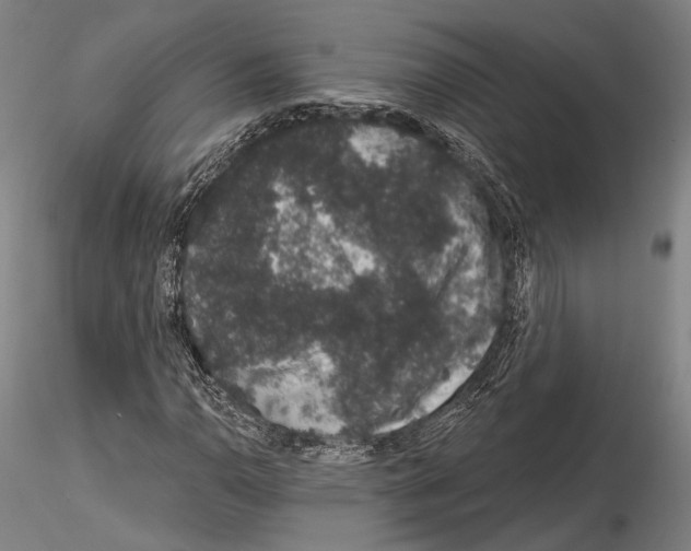 X0000114991110200912071111