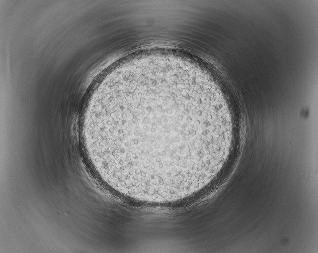 X0000114991113200912071111