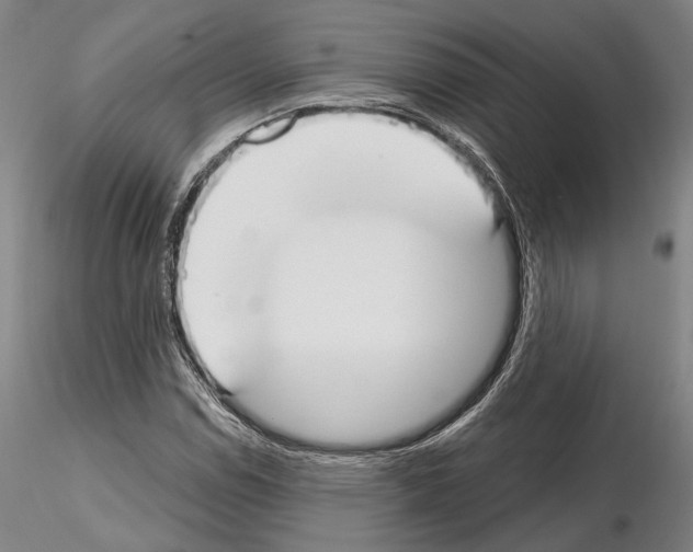 X0000114991114200912071111