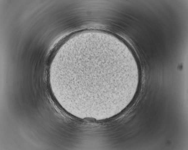 X0000114991115200912071111