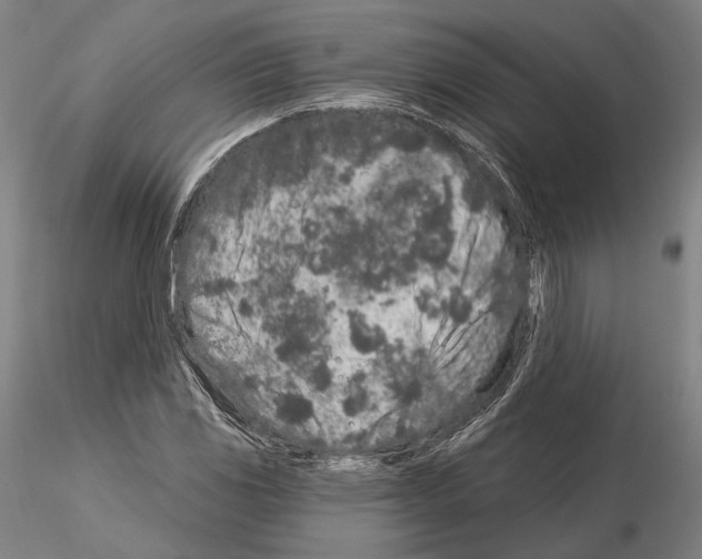 X0000114991117200912071111