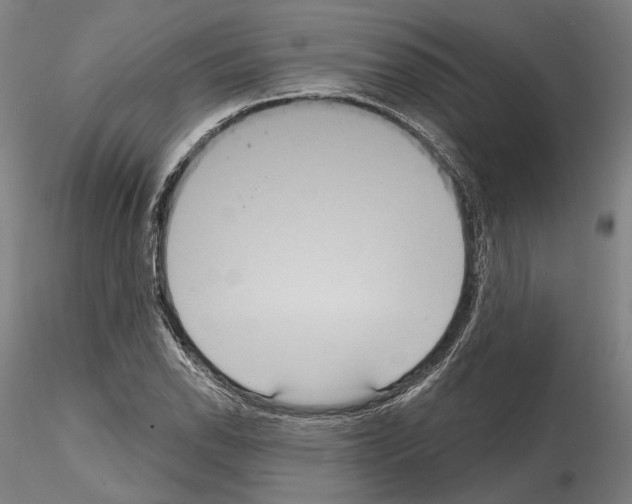 X0000114991118200912071111