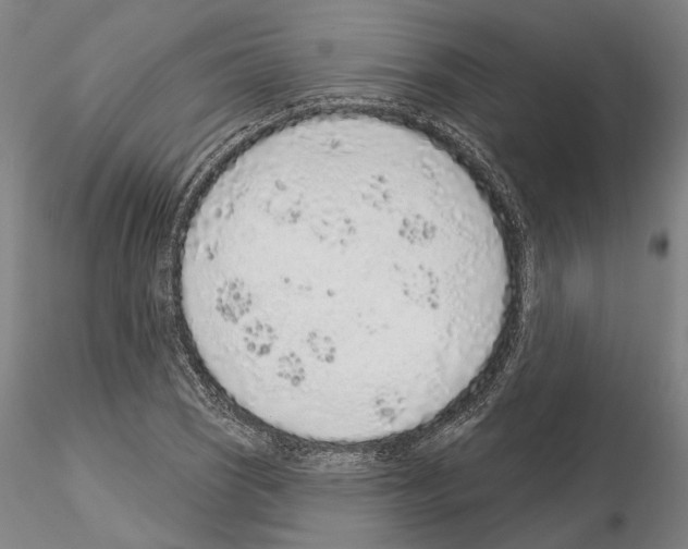 X0000114991121200912071111