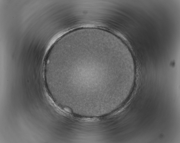 X0000114991122200912071111