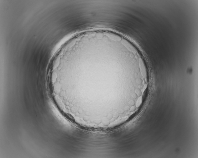 X0000114991126200912071111