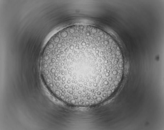 X0000114991130200912071111