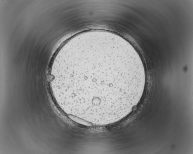 X0000114991133200912071111