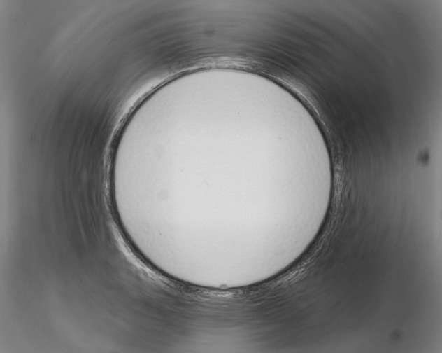 X0000114991135200912071111