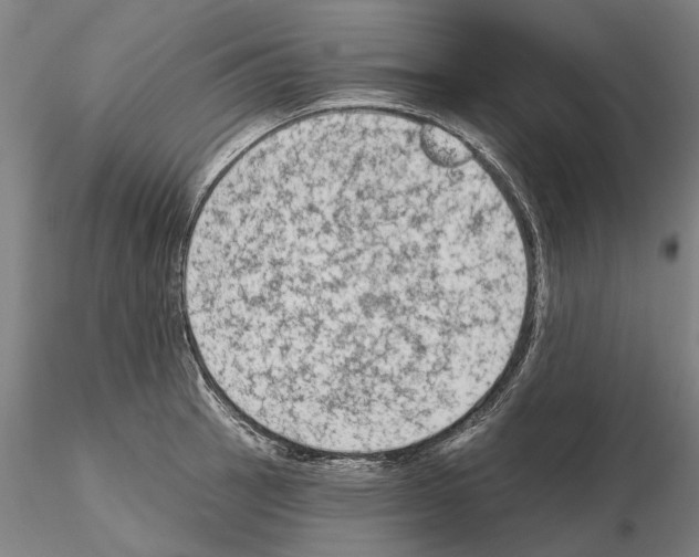 X0000114991137200912071111