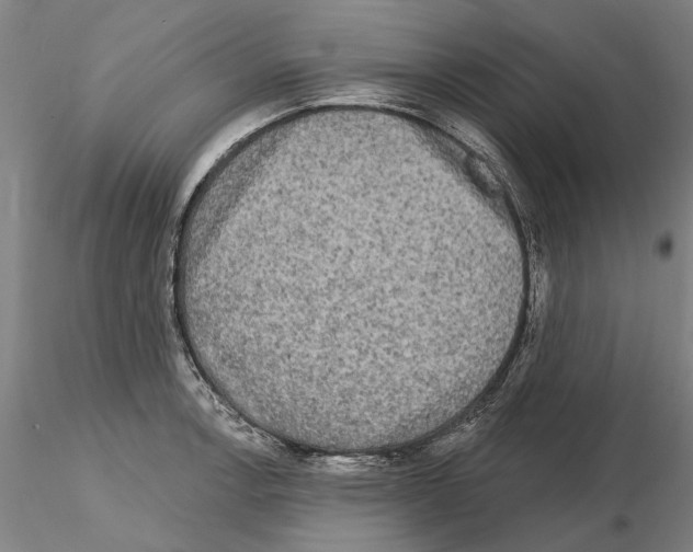 X0000114991138200912071111