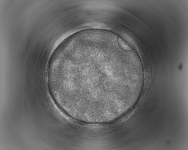 X0000114991141200912071111