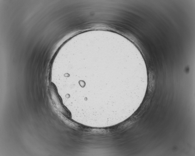 X0000114991142200912071111