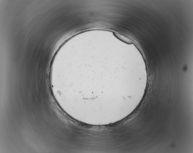 X0000114991146200912071111