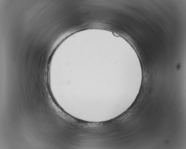 X0000114991147200912071111