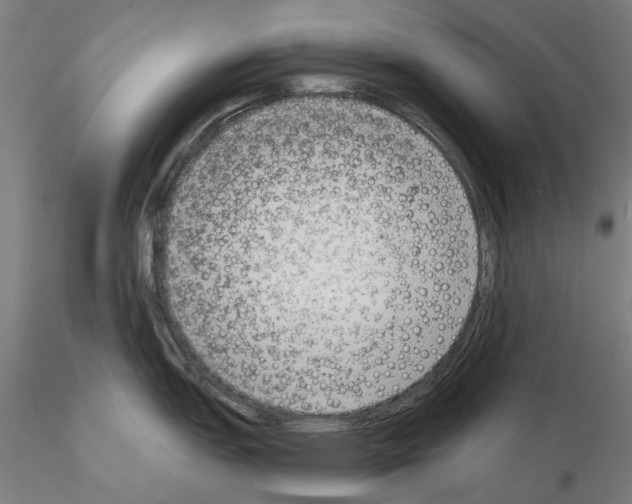 X0000114991151200912071111