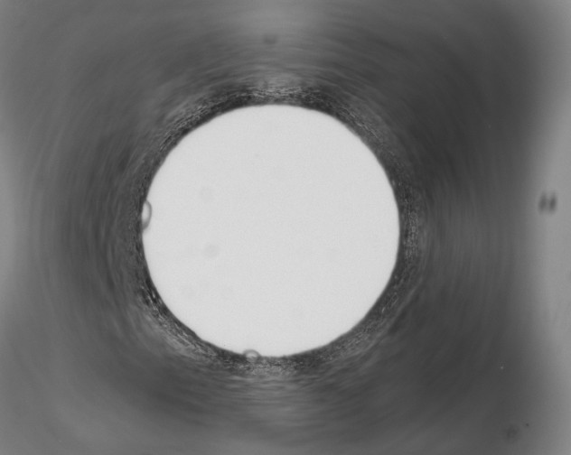 X0000114991153200912071111