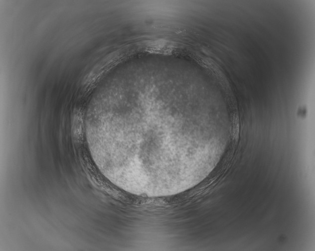 X0000114991154200912071111