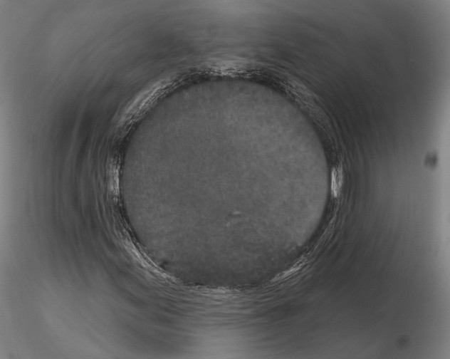 X0000114991155200912071110