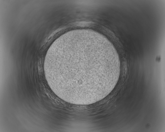 X0000114991158200912071110