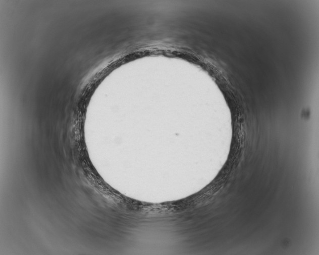 X0000114991159200912071110