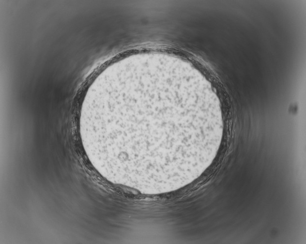 X0000114991160200912071110