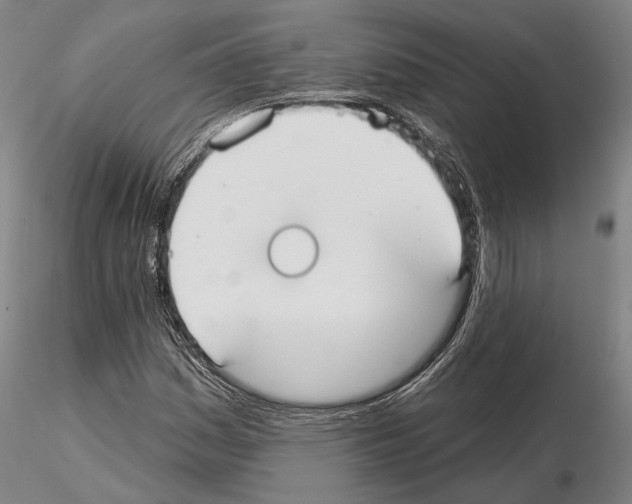 X0000114991161200912071110