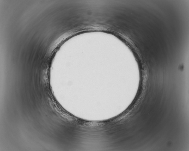 X0000114991163200912071110