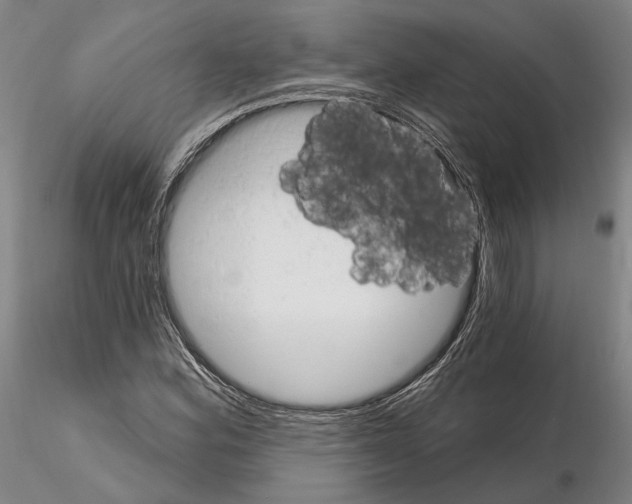 X0000114991164200912071110