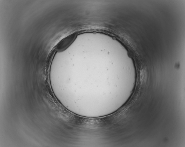 X0000114991165200912071110