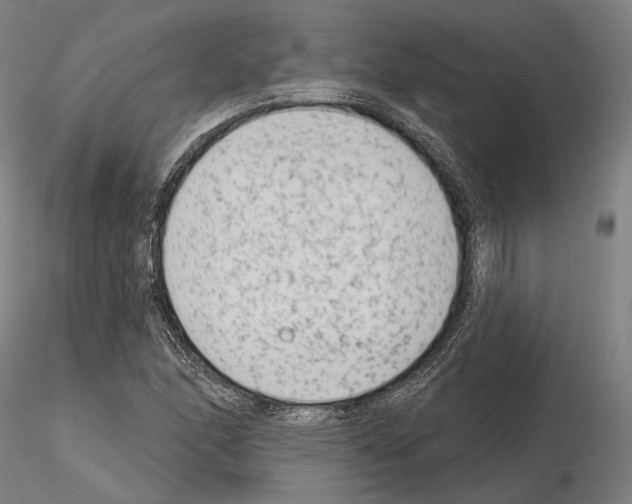 X0000114991166200912071110