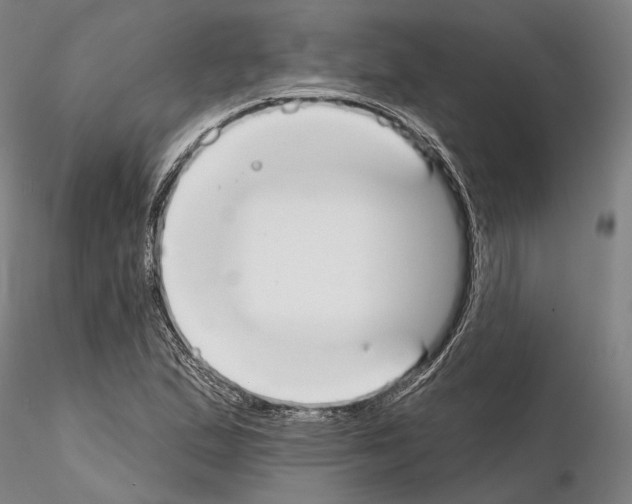 X0000114991167200912071110