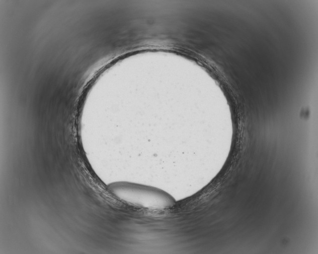 X0000114991168200912071110