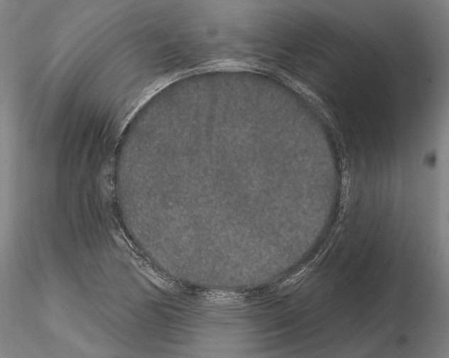 X0000114991170200912071110