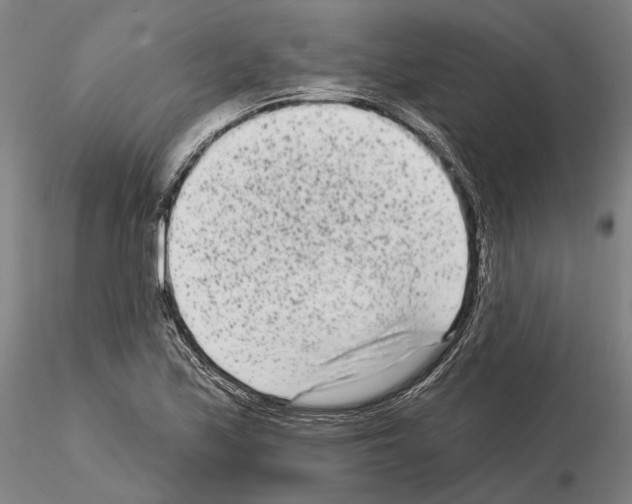 X0000114991171200912071110