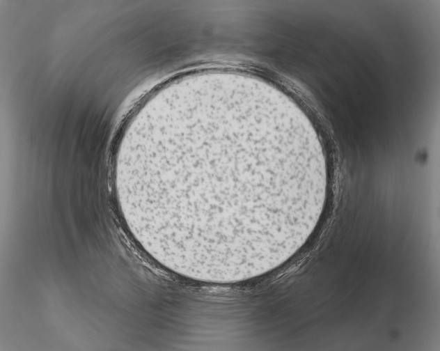 X0000114991172200912071110