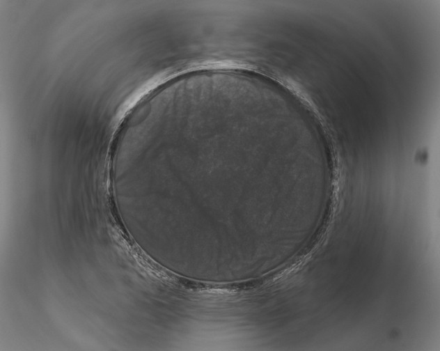 X0000114991173200912071110