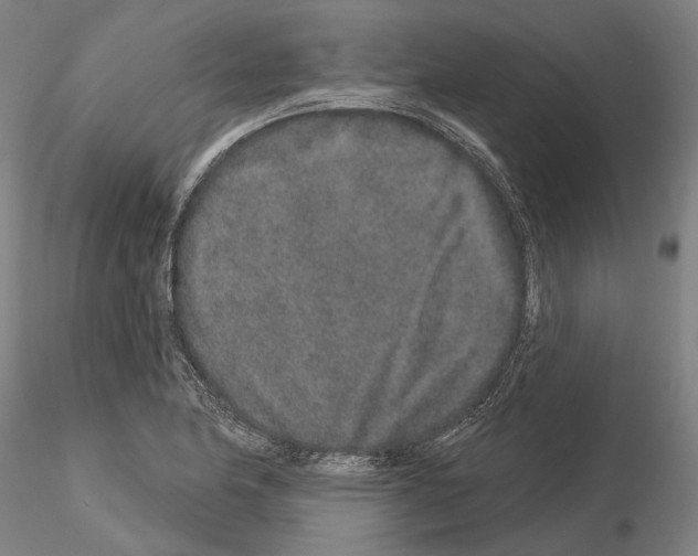 X0000114991174200912071110