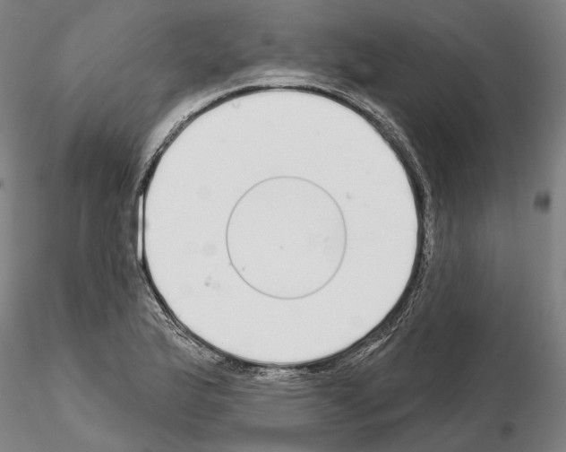 X0000114991175200912071110