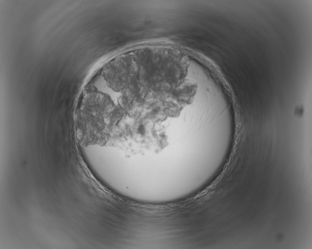 X0000114991176200912071110