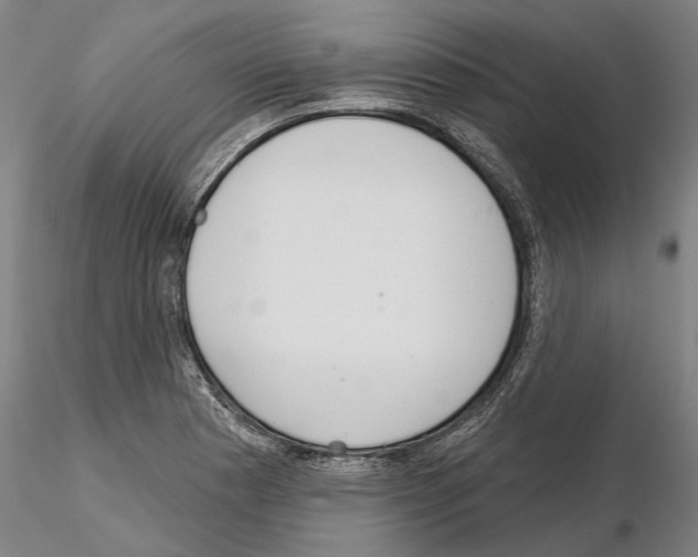 X0000114991177200912071110