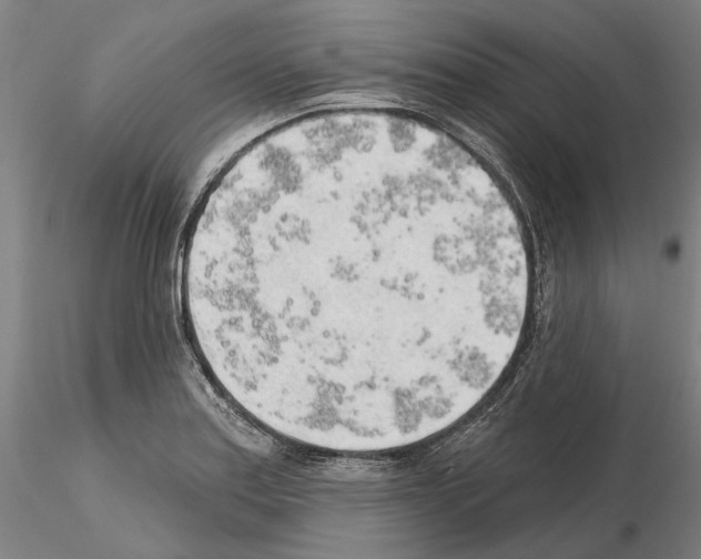 X0000114991179200912071110