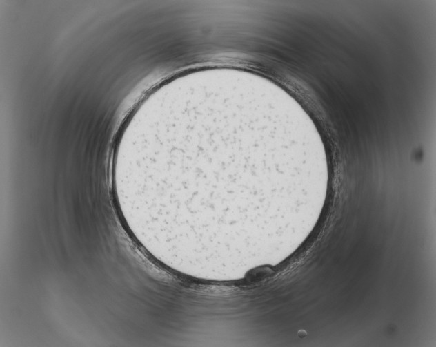 X0000114991180200912071110