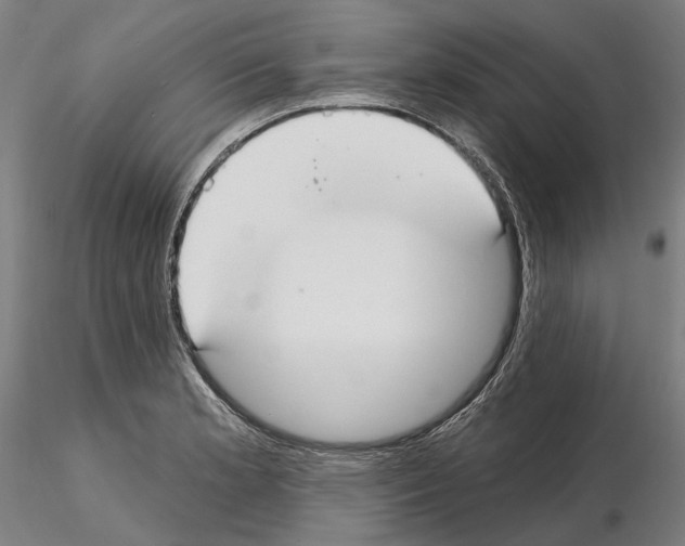 X0000114991181200912071110