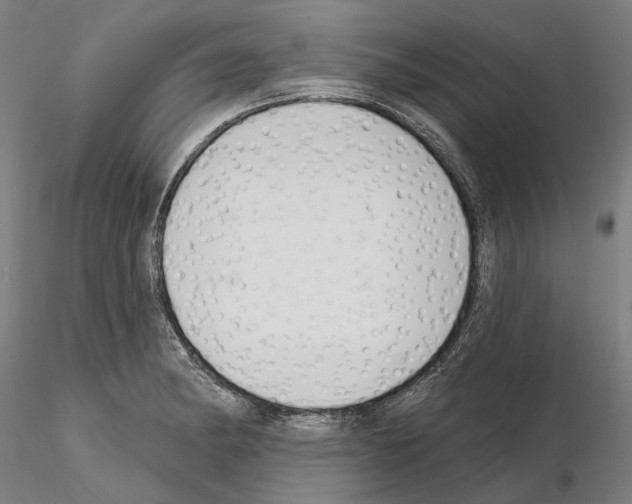 X0000114991182200912071110