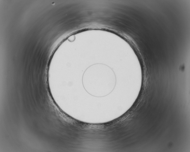 X0000114991183200912071110