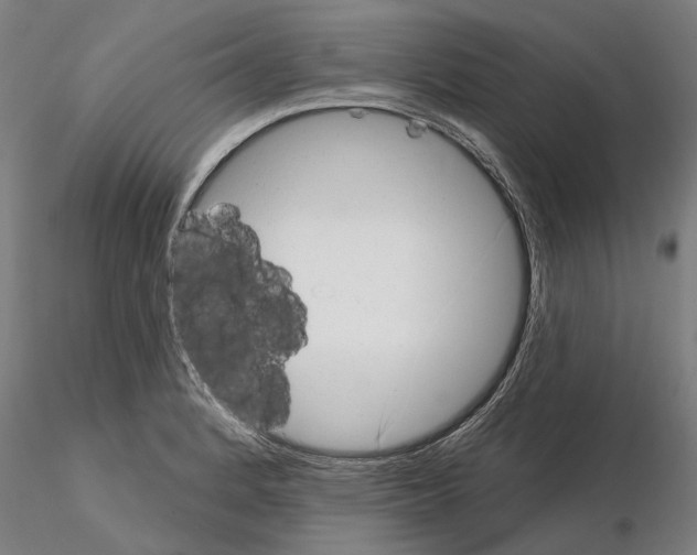 X0000114991184200912071110