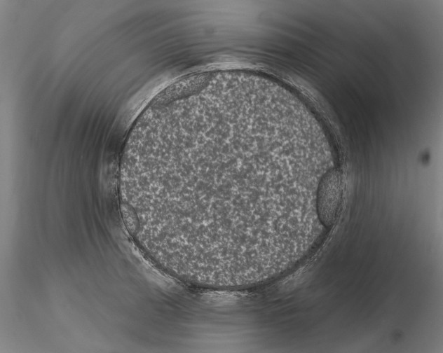 X0000114991185200912071110