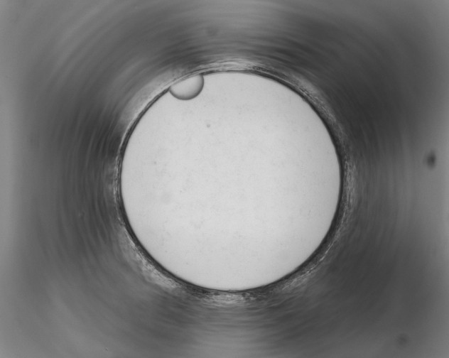 X0000114991186200912071110