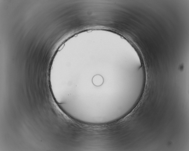 X0000114991189200912071110