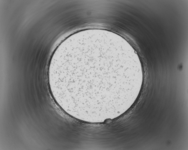 X0000114991192200912071110